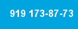 919 173-87-73 919 173-87-73